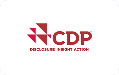 CDP Disclosure Insight Action