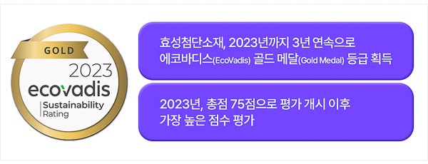 Hyosung Advanced Materials Global ESG